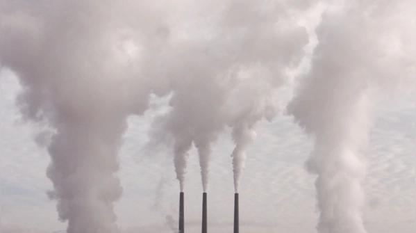 7 cách tự nhiên giúp làm sạch, thải độc phổi