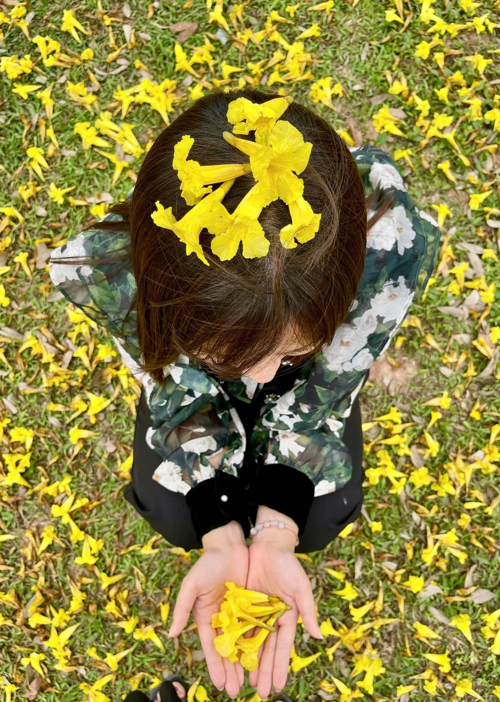 The Colors of Flowers on the Streets