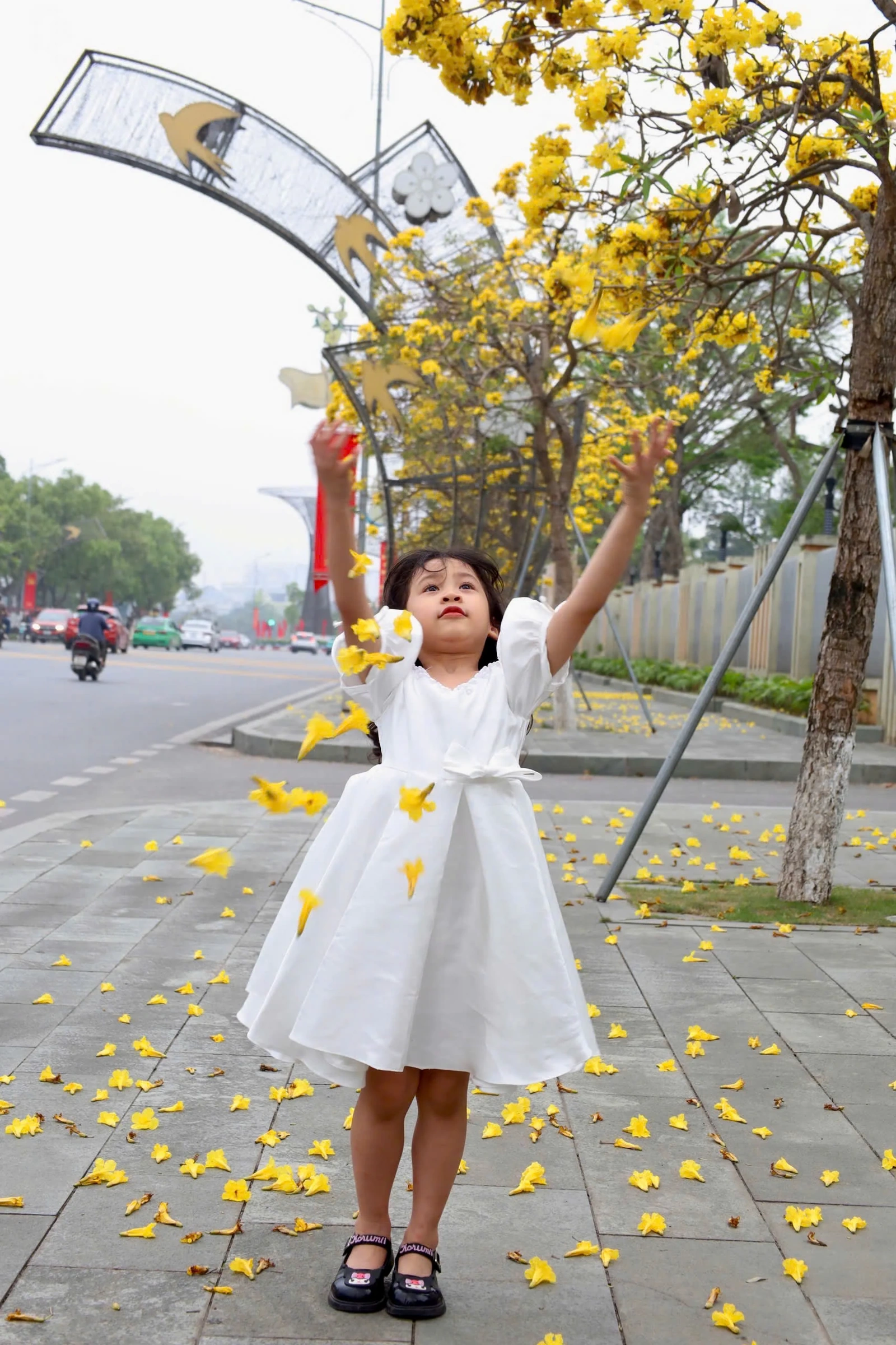 The Colors of Flowers on the Streets