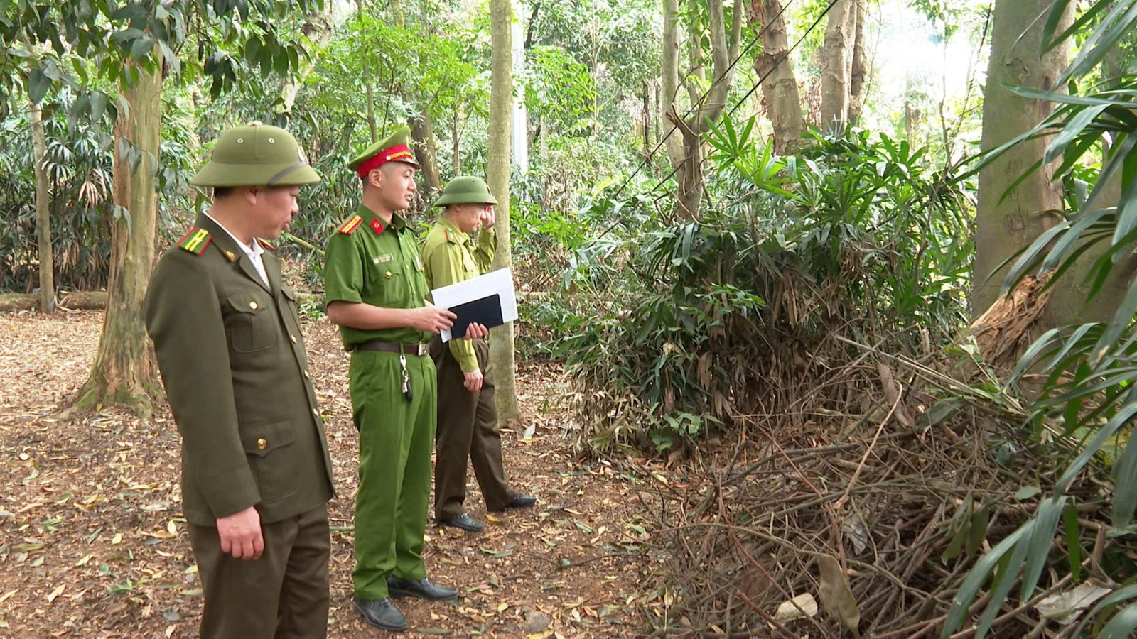 Tăng cường thực hiện các biện pháp phòng cháy, chữa cháy rừng