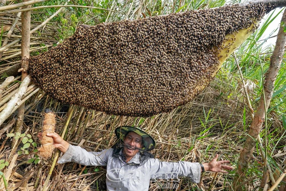 Hấp dẫn “Hương rừng U Minh - 2025”