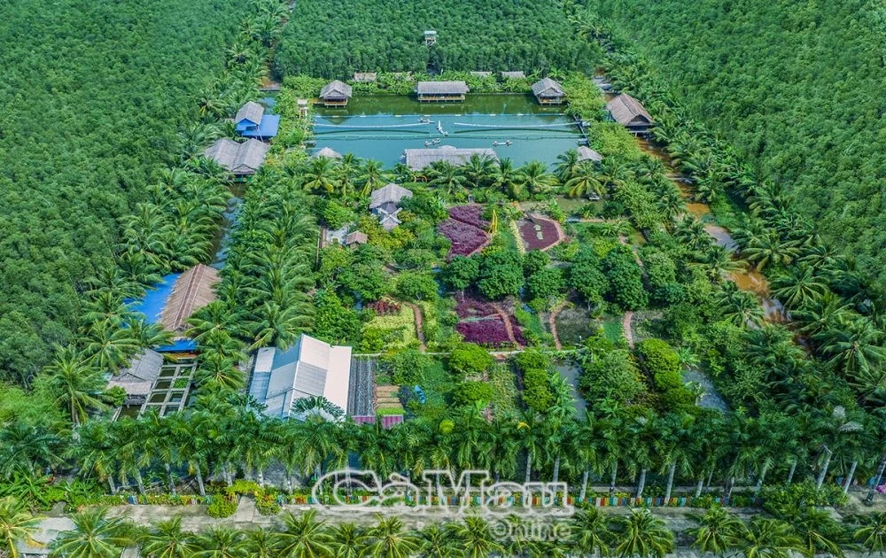 Hấp dẫn “Hương rừng U Minh - 2025”