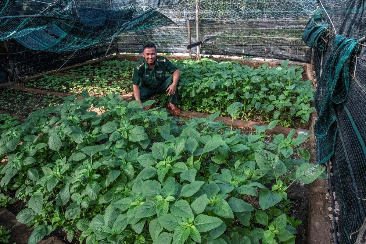 Góp màu xanh cho Trường Sa