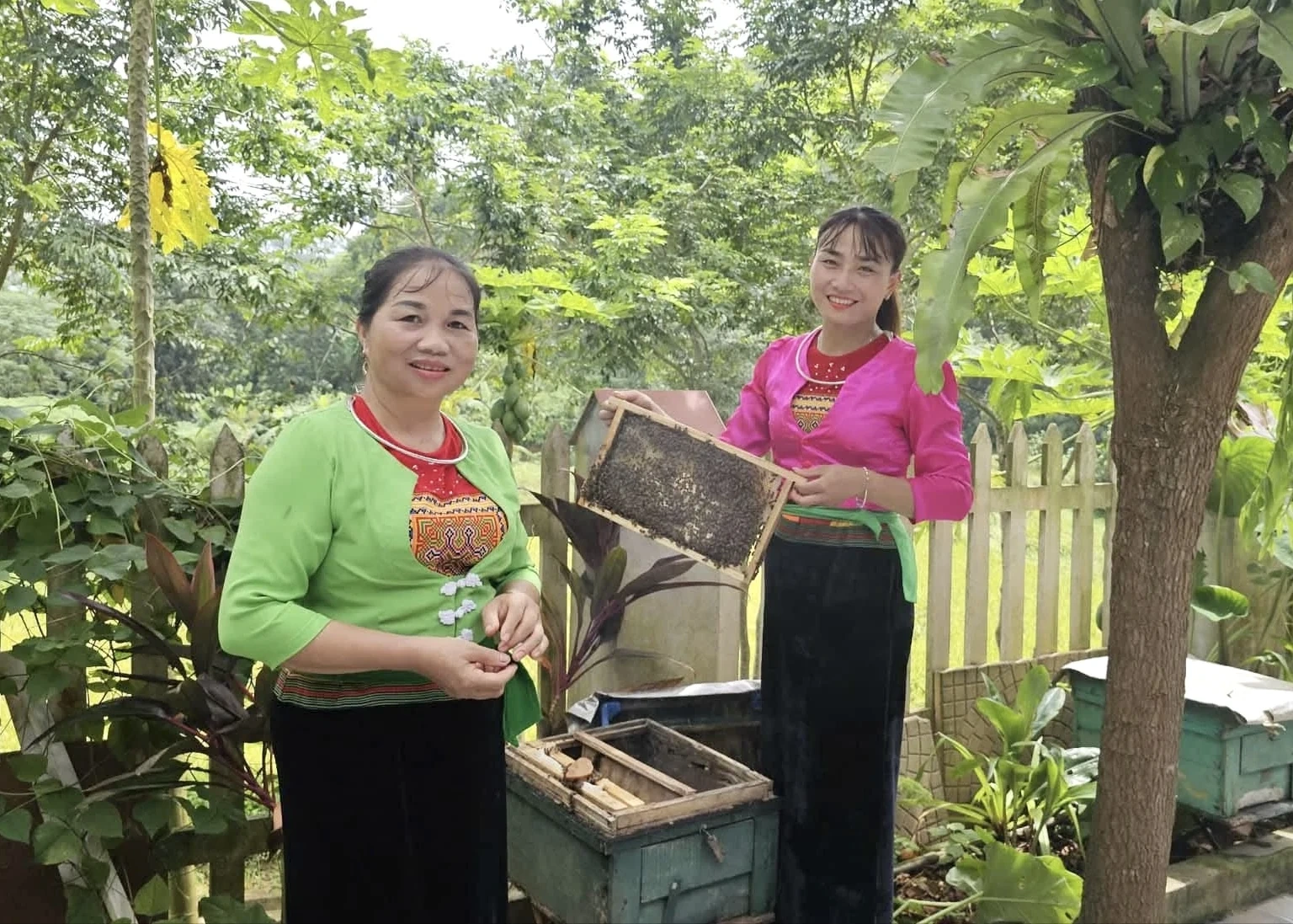 Nghề nuôi ong mật ở Tân Sơn