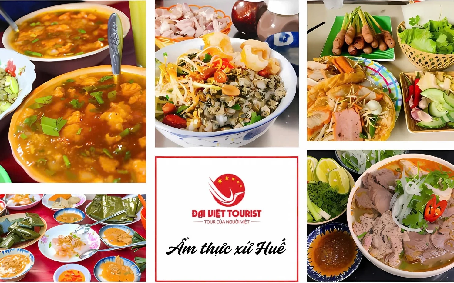 Đại Việt Tourist đơn vị tổ chức tour Huế 1 ngày từ Đà Nẵng giá rẻ uy tín