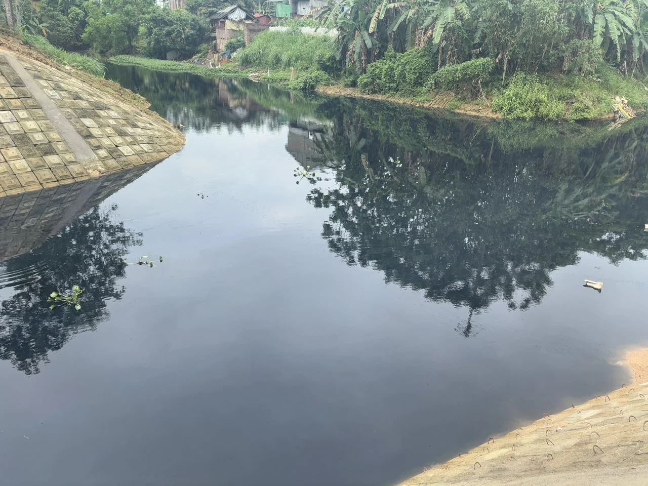 Ngòi Tranh nước bỗng “nhuộm” đen