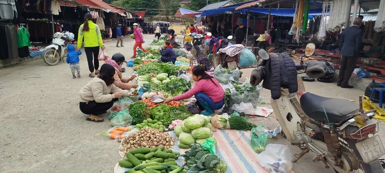 Giá cả thị trường ngày 10/05/2025