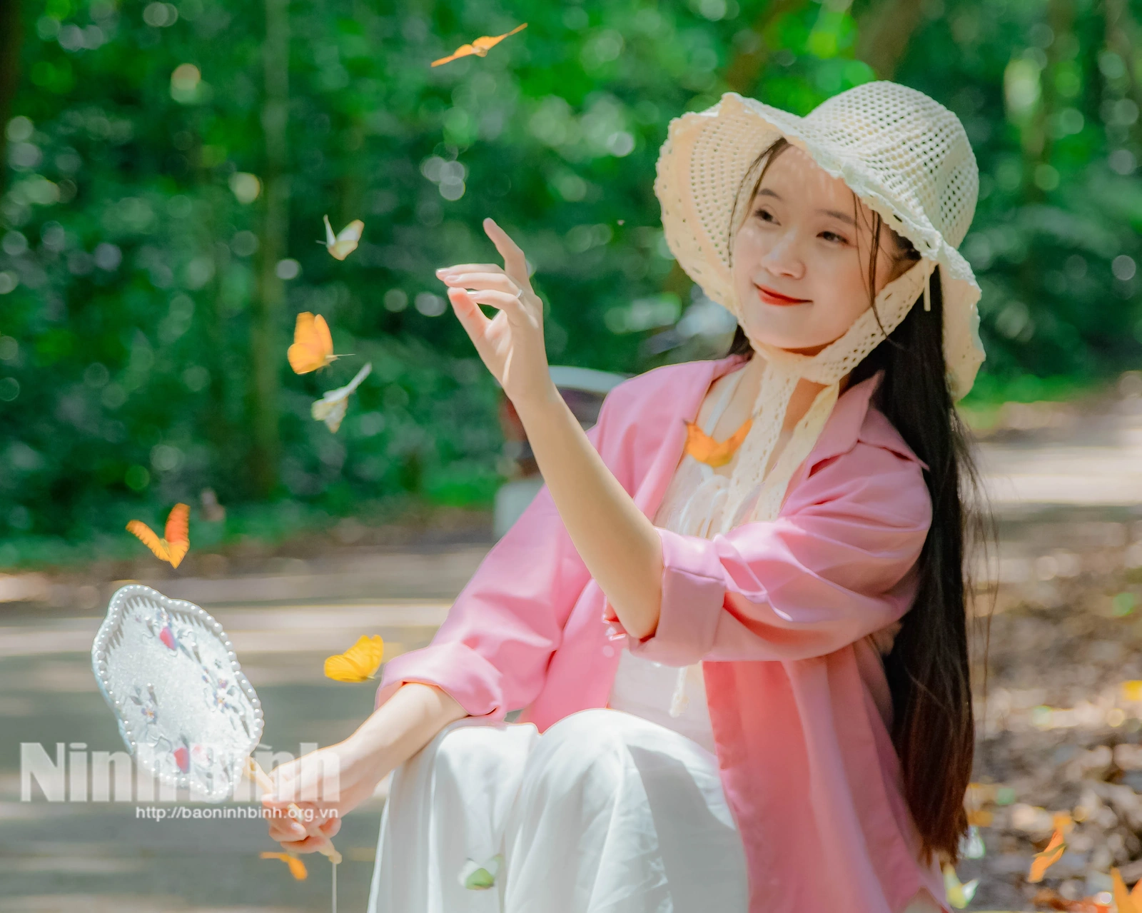 Trải nghiệm mùa bướm cực “chill” ở Cúc Phương