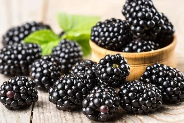 Ăn nhiều thực phẩm màu đen giúp bảo vệ thận