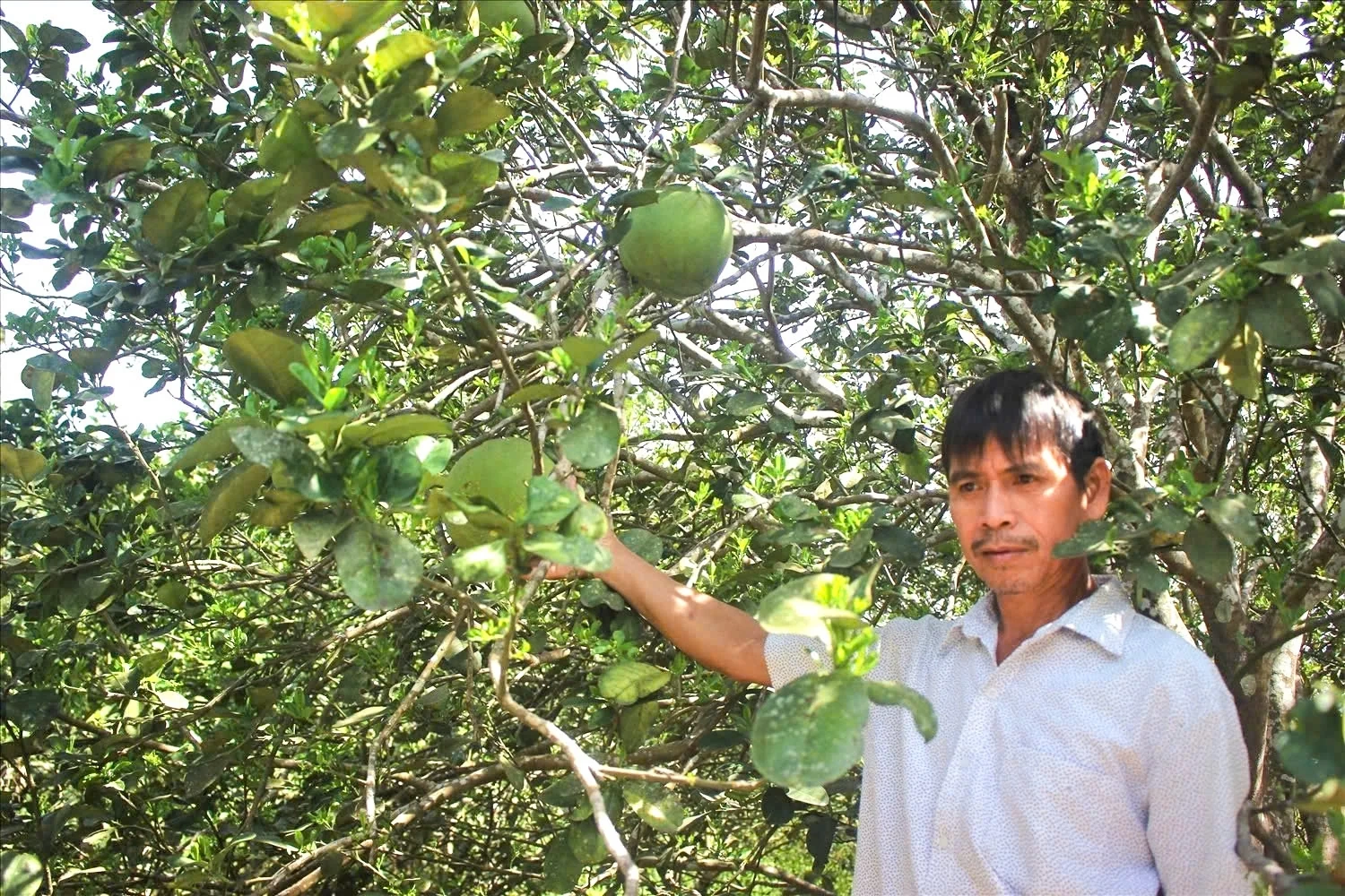 Cuộc sống mới ở thôn Bác Hồ