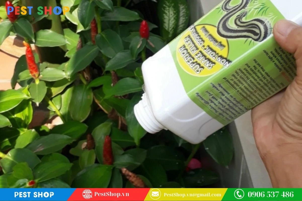 Bí quyết đuổi rắn ra khỏi vườn hiệu quả cập nhật 2025