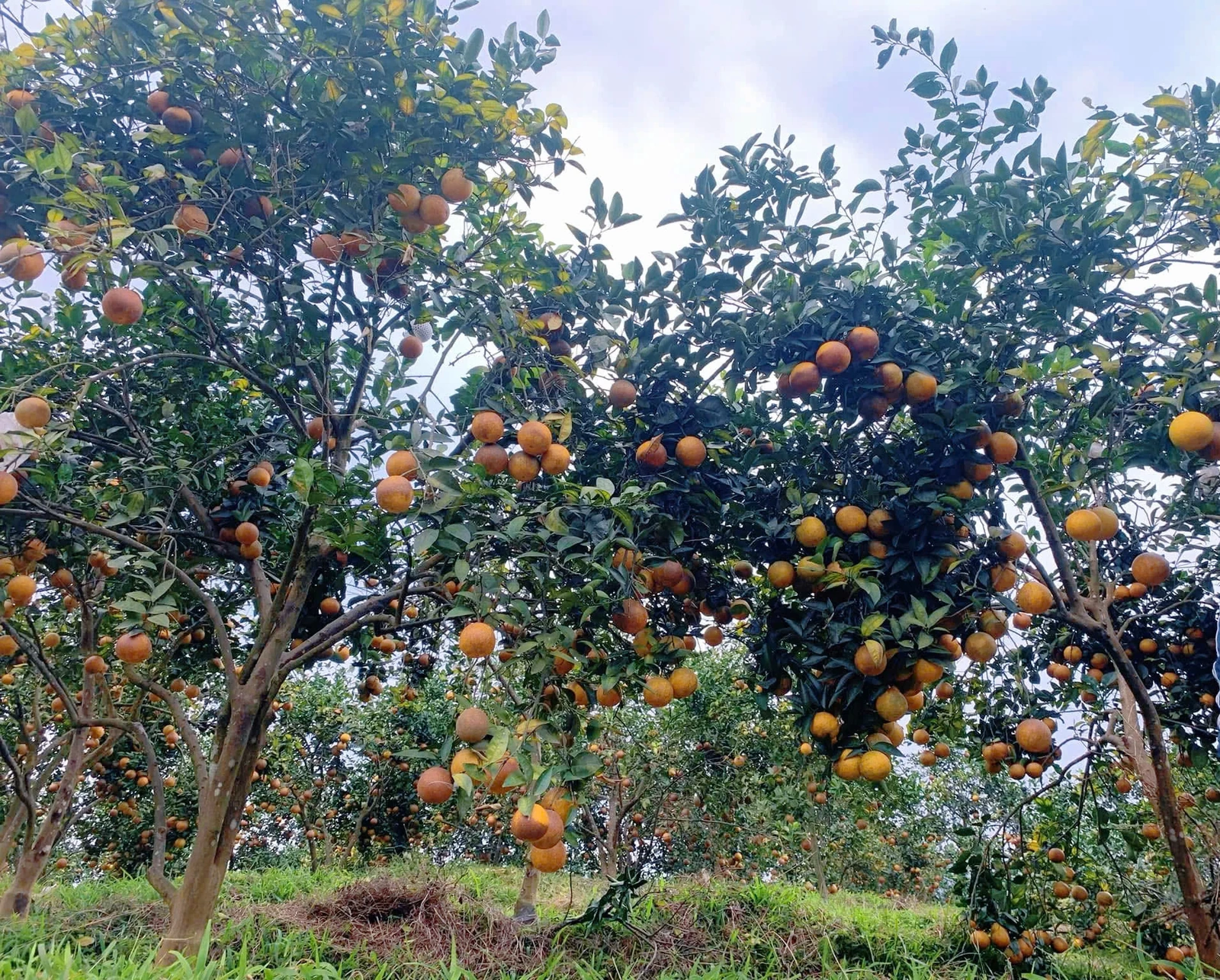 Nâng cao nhận thức về sở hữu trí tuệ