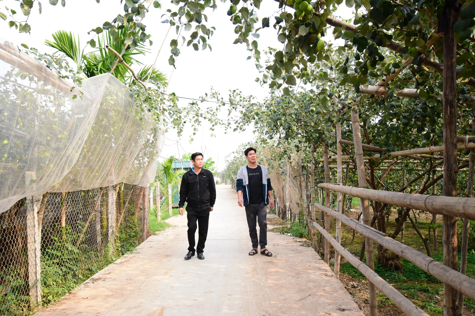 Nông dân Thanh Sơn thi đua sản xuất, kinh doanh giỏi