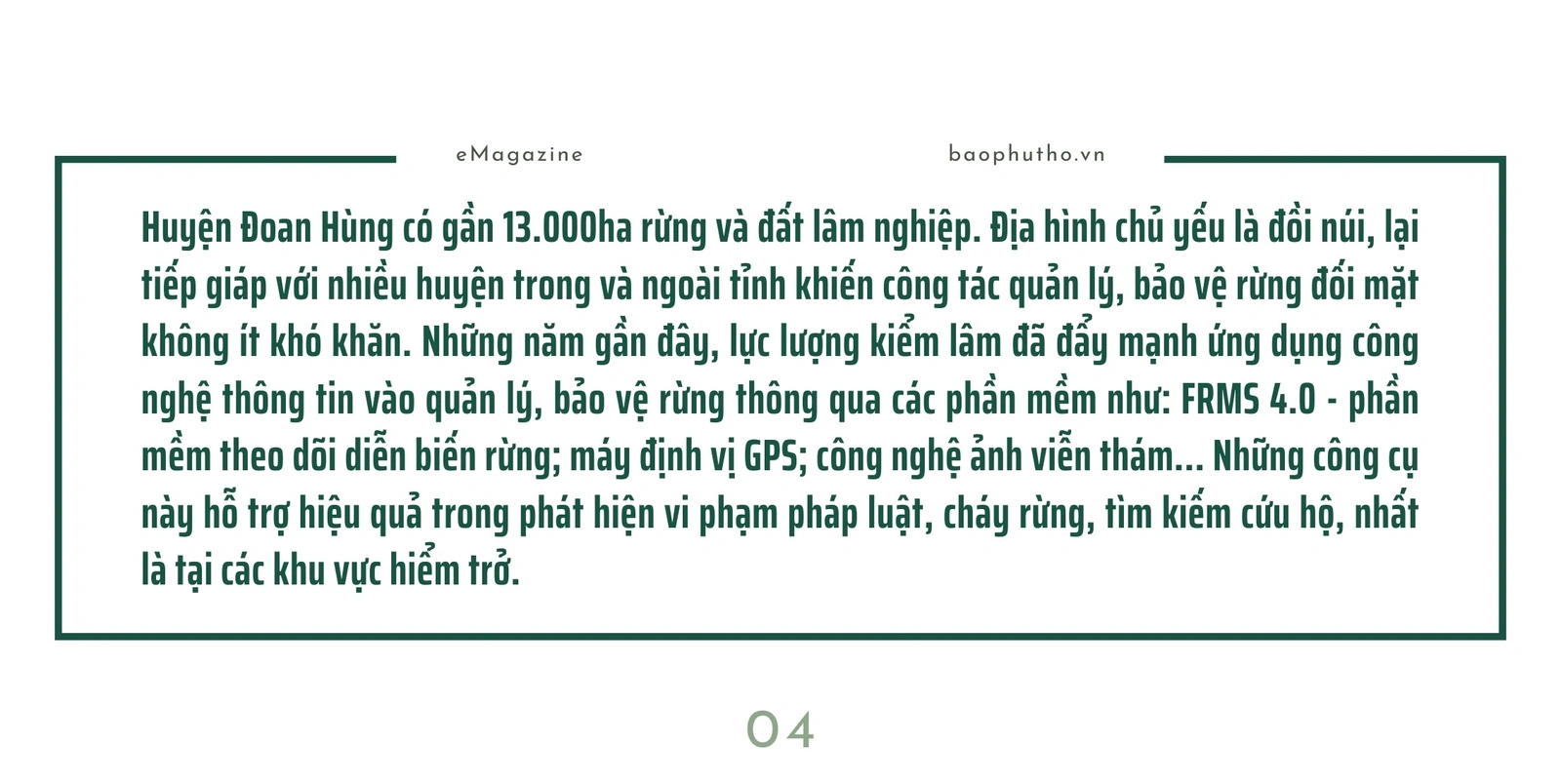 Giữ gìn sự bình yên cho những cánh rừng