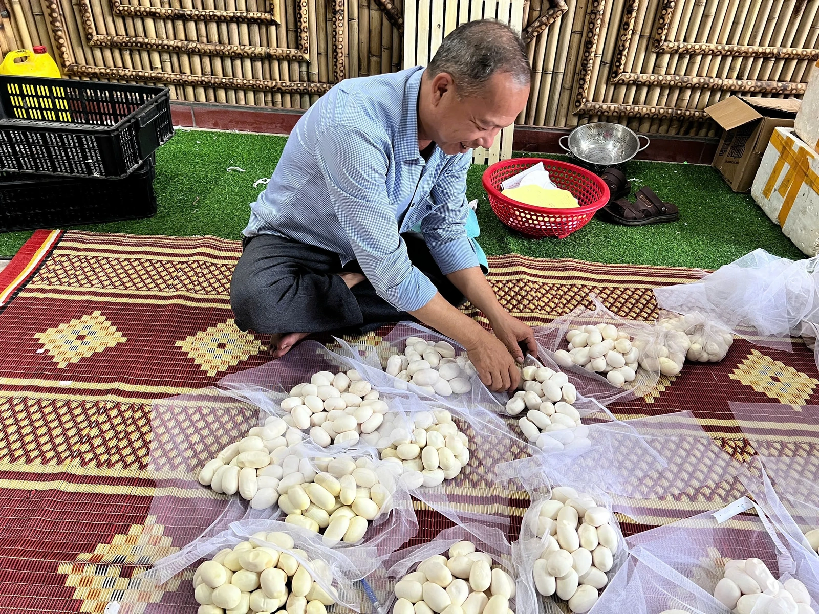 Mùa rắn cho “vàng”