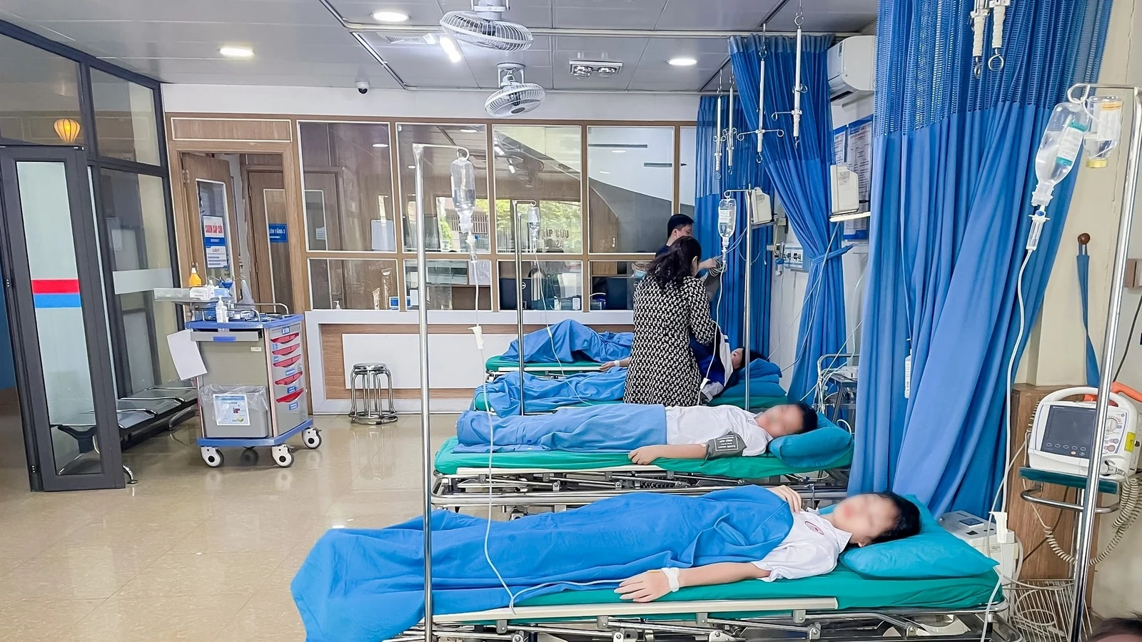 4 học sinh bị đàn ong tấn công phải nhập viện cấp cứu