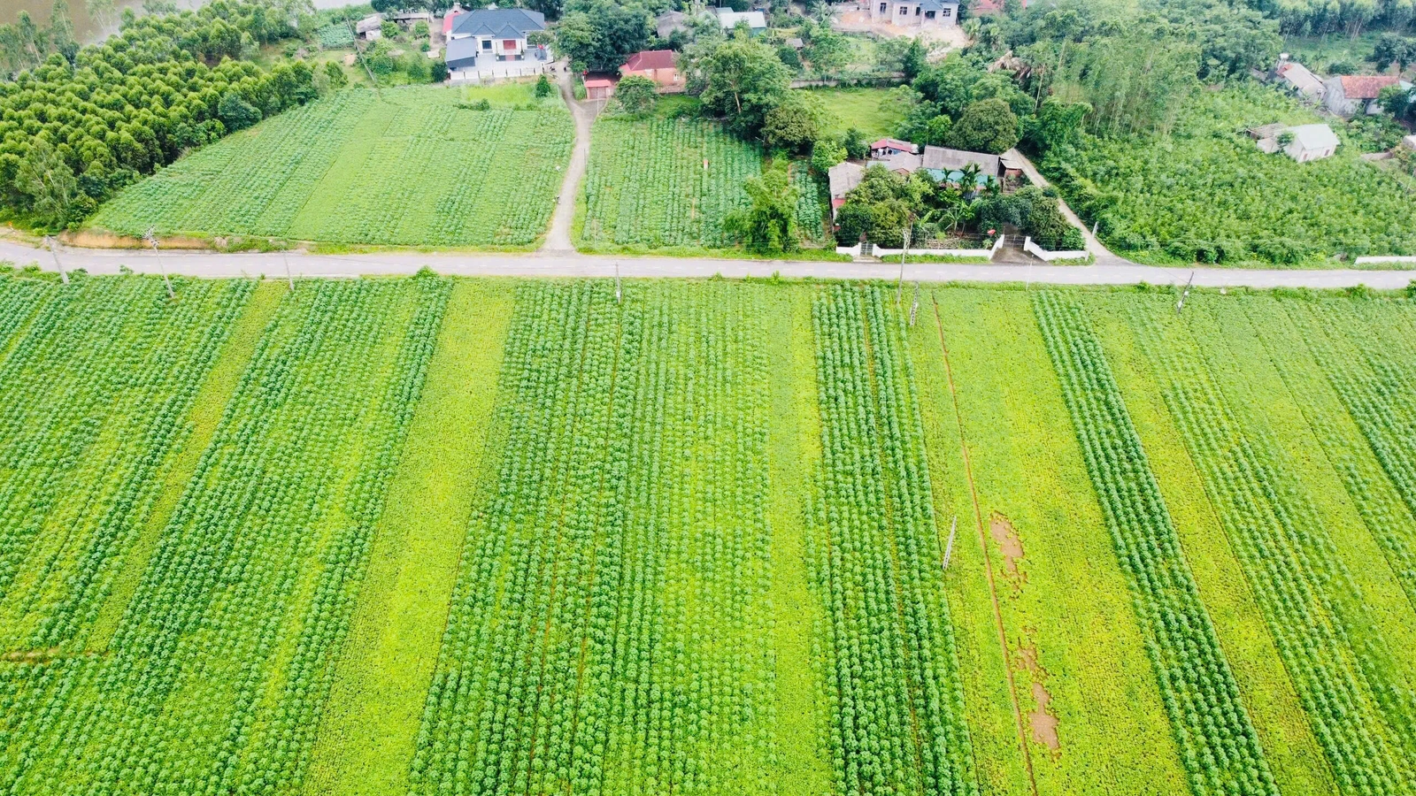 Về núi Mủi, đầm Dài