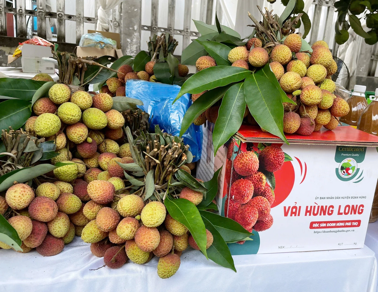 Khai mạc Ngày hội quảng bá, kết nối hỗ trợ tiêu thụ sản phẩm OCOP và nông sản tiêu biểu