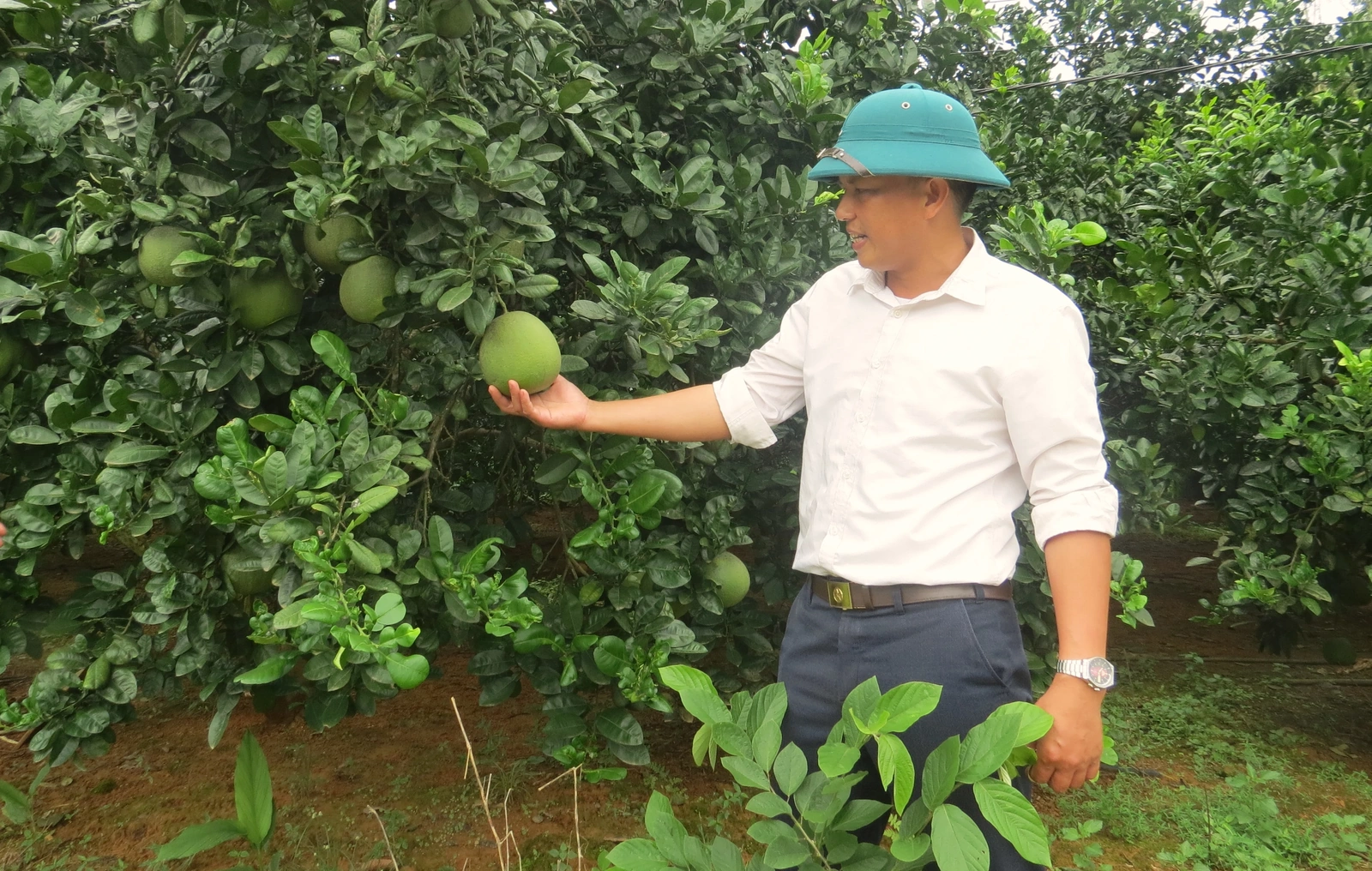 Bằng Doãn đoàn kết xây dựng đời sống mới