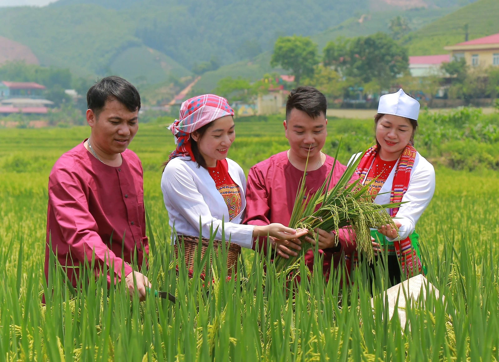 Nông dân Mỹ Thuận giúp nhau phát triển kinh tế