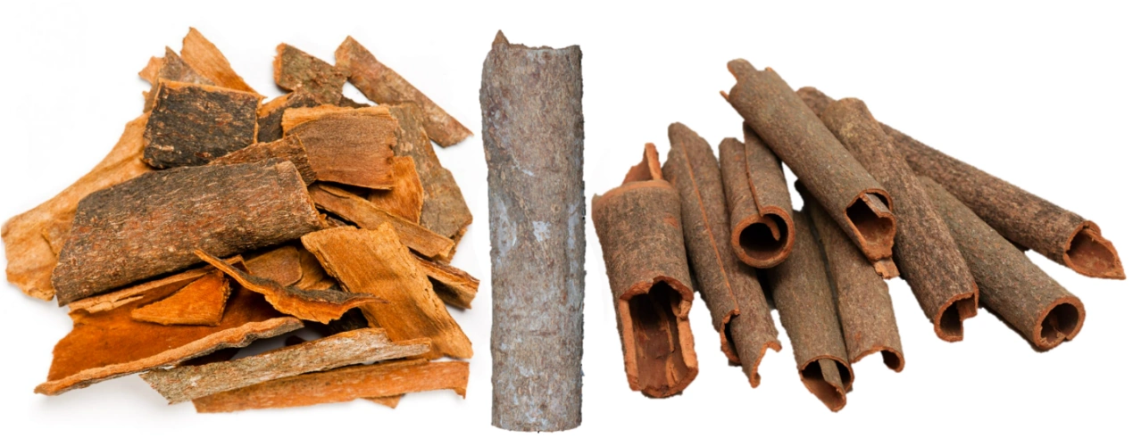 Ai không nên ăn đồ lạnh trong mùa hè, nên dùng gì cho ấm cơ thể?