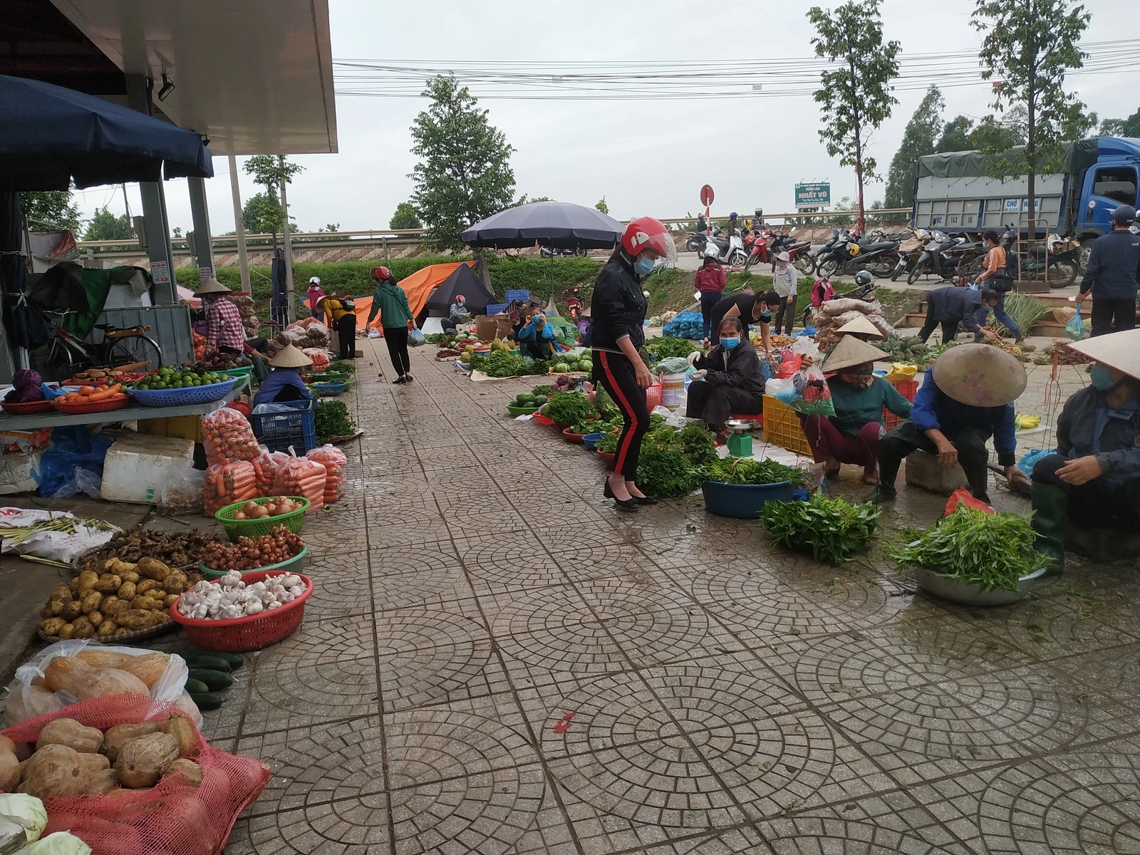 Giá cả thị trường ngày 14/6/2025