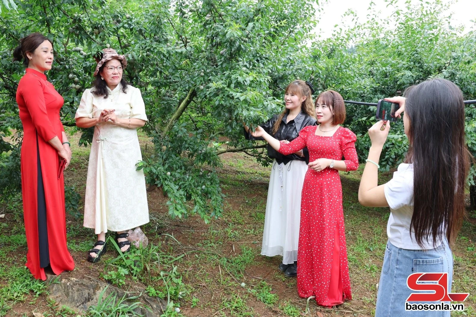 Du lịch sinh thái từ vùng cây ăn quả