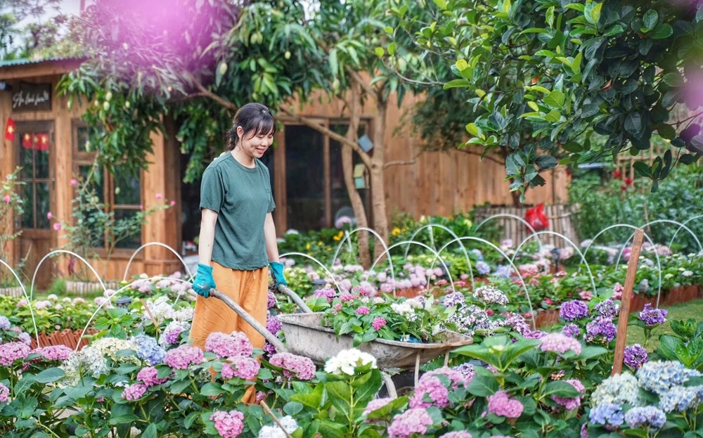 Yên Bái sẵn sàng mùa du lịch sôi động