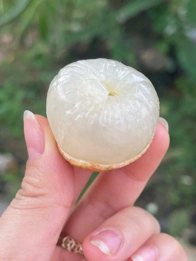 Ăn trái cây đúng cách - nên ăn sau bữa cơm hay lúc đói?