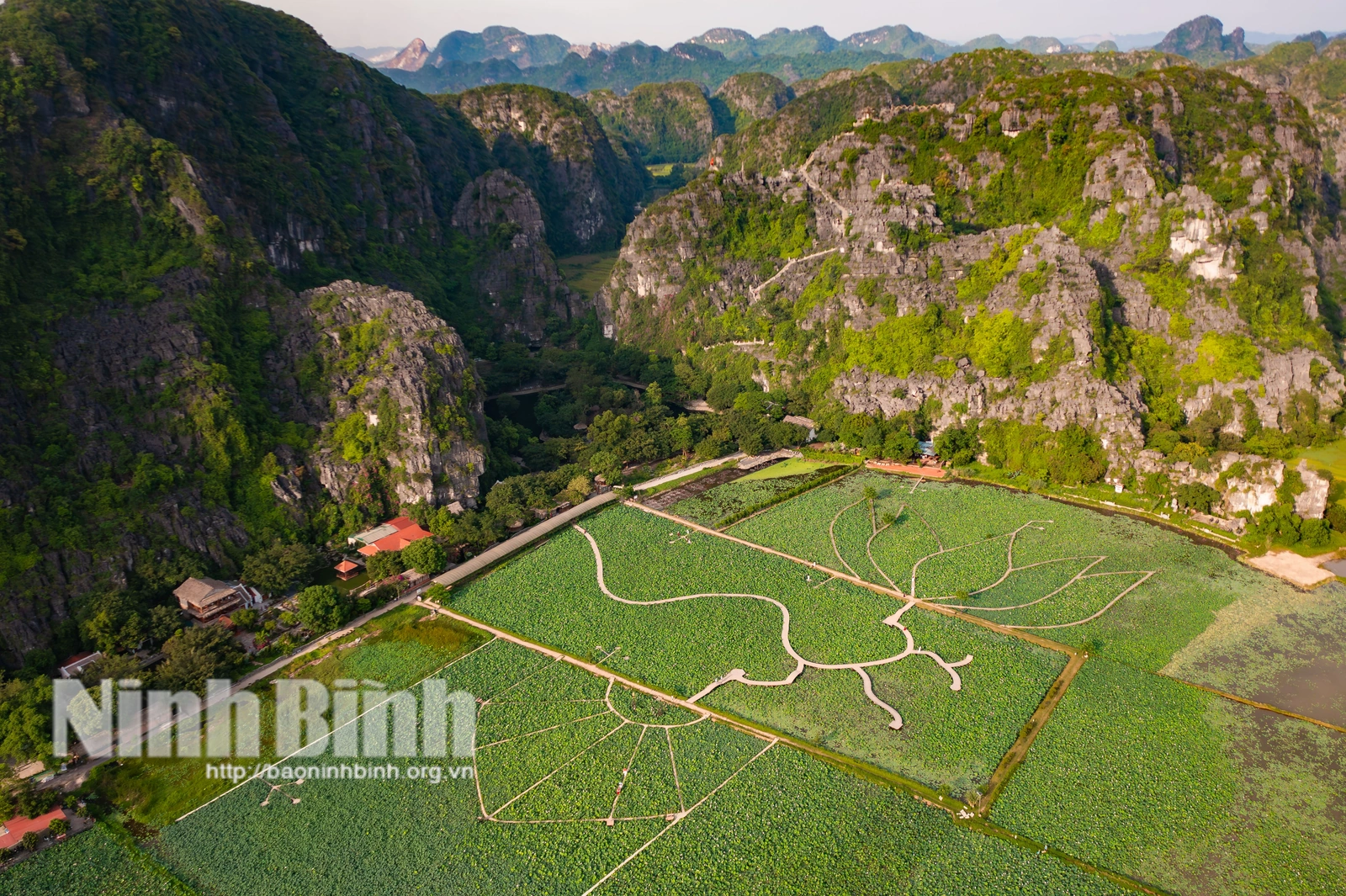 Sắc sen Hang Múa