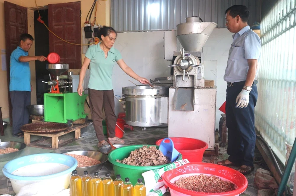 Lo ngại dầu ăn giả, người dân tự ép dầu để sử dụng