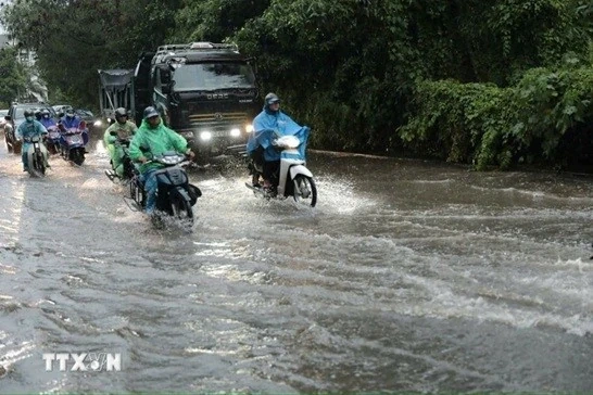 Thời tiết ngày 16/7: Vùng núi Bắc Bộ mưa lớn, cục bộ có nơi mưa trên 70mm