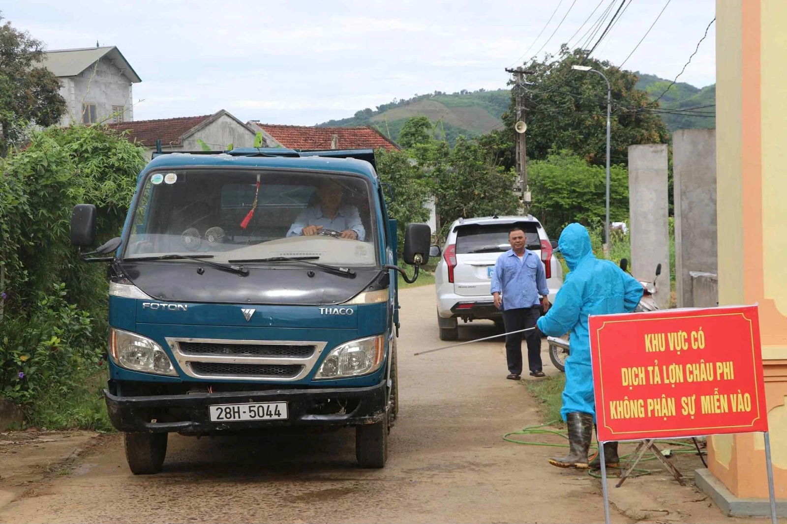 Tăng cường giám sát, xử lý nghiêm hành vi vứt lợn chết ra môi trường