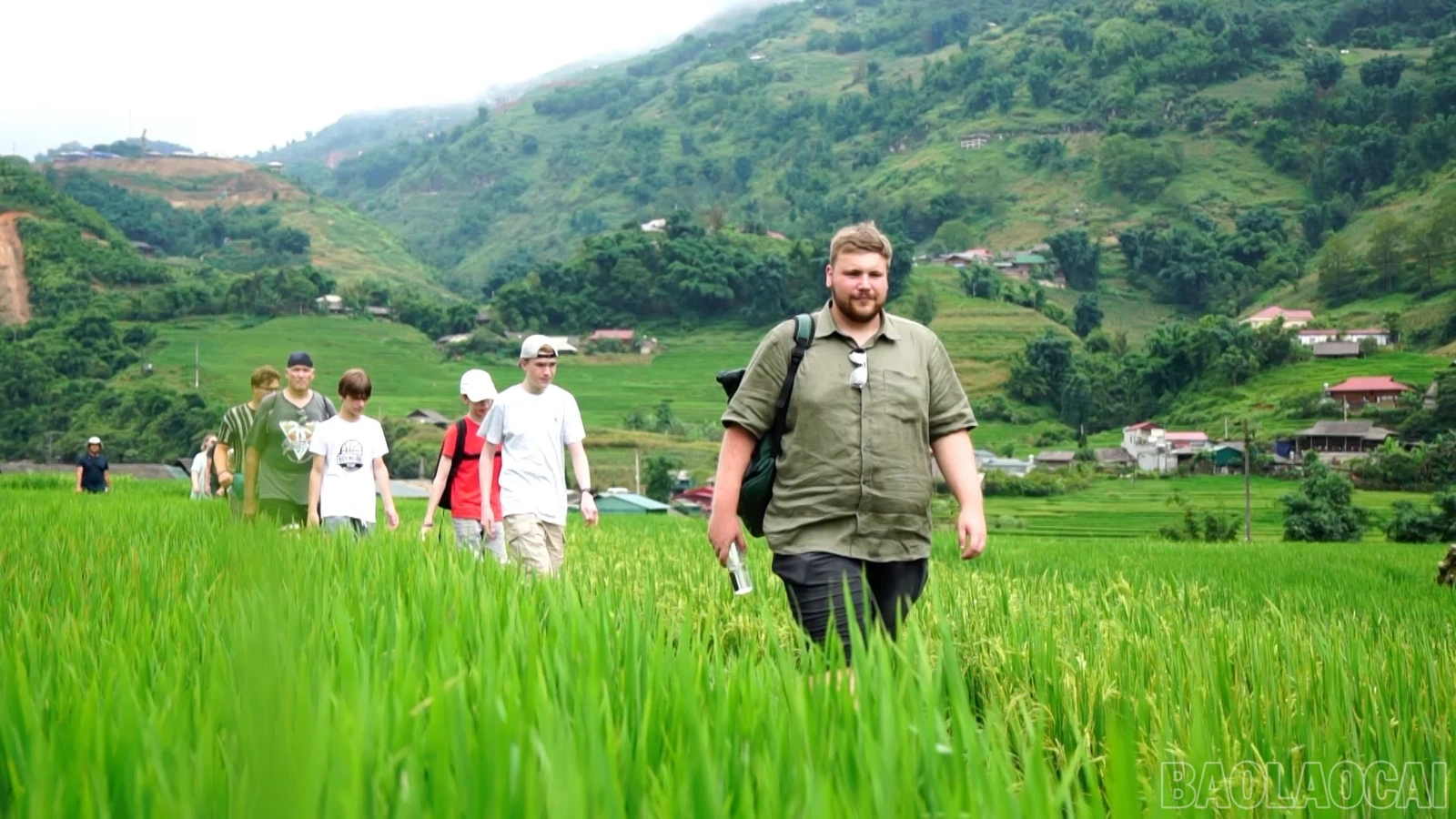 Sức hút Sa Pa mùa lúa xanh