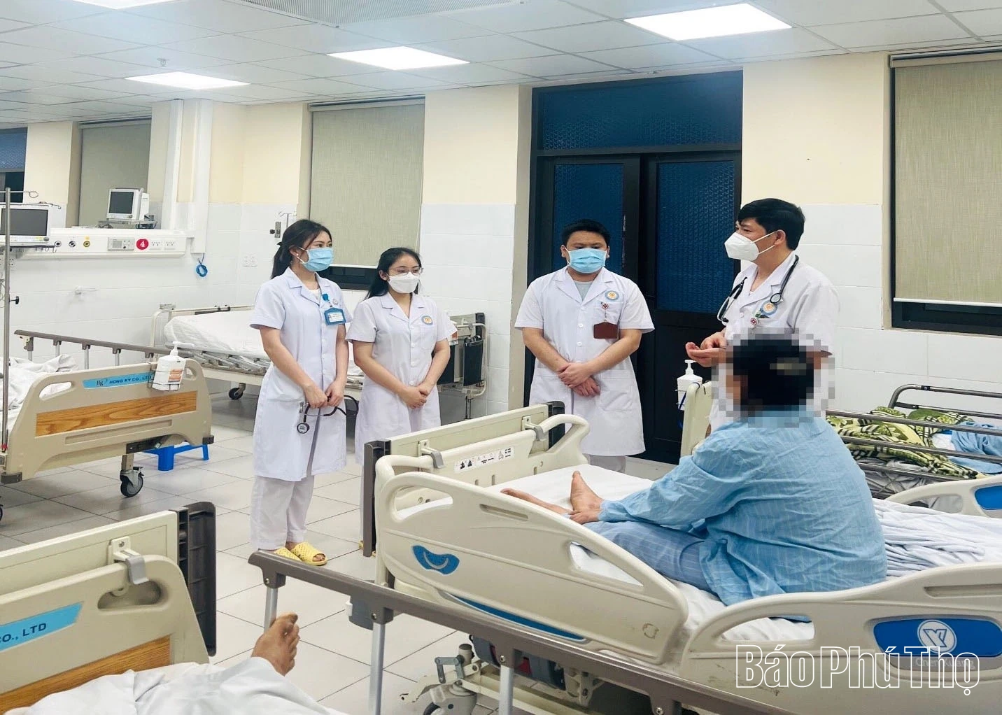 Ám ảnh loài cây “quyên sinh” giữa đại ngàn