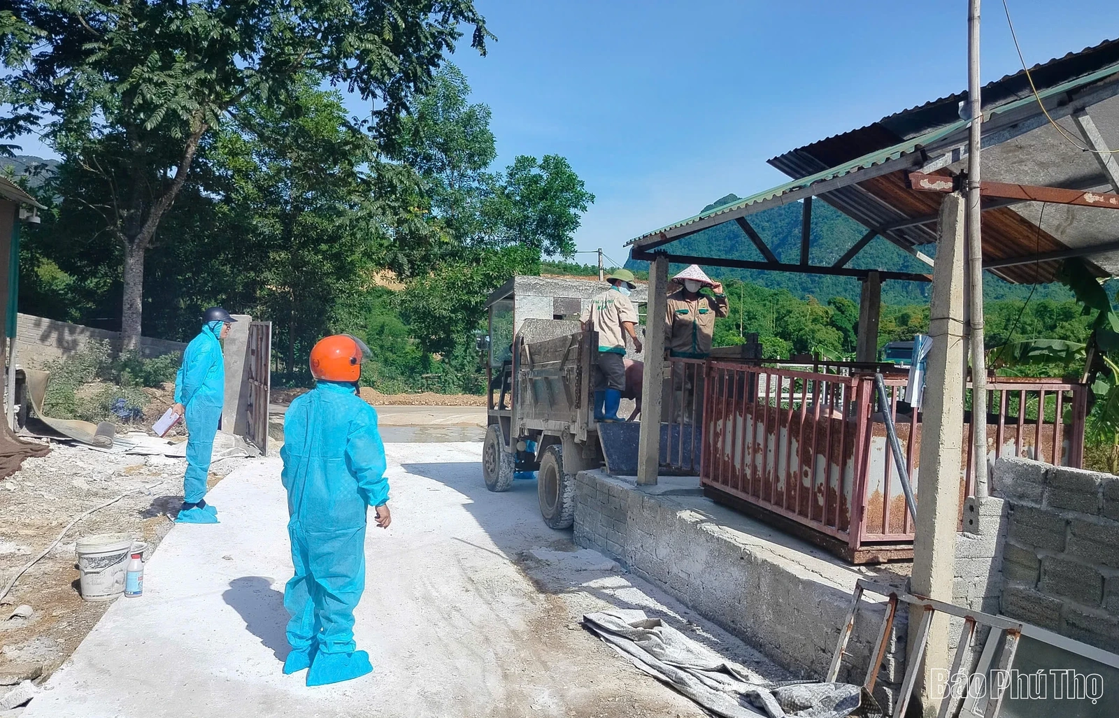 Triển khai đồng bộ, quyết liệt các giải pháp phòng, chống Dịch tả lợn châu Phi