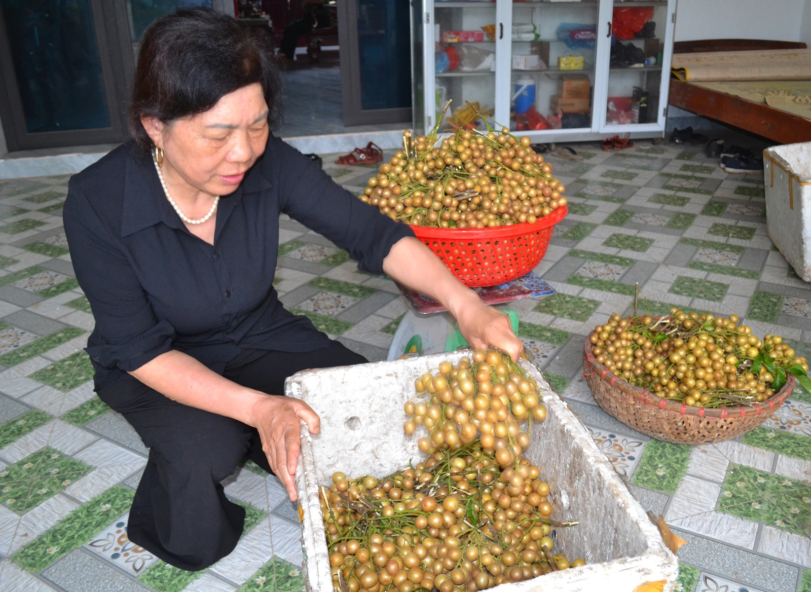 Hồng bì xứ Mường vào mùa quả mọng