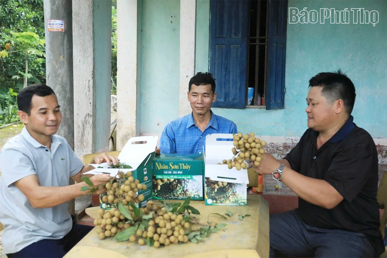 Về thăm vựa nhãn xứ Mường