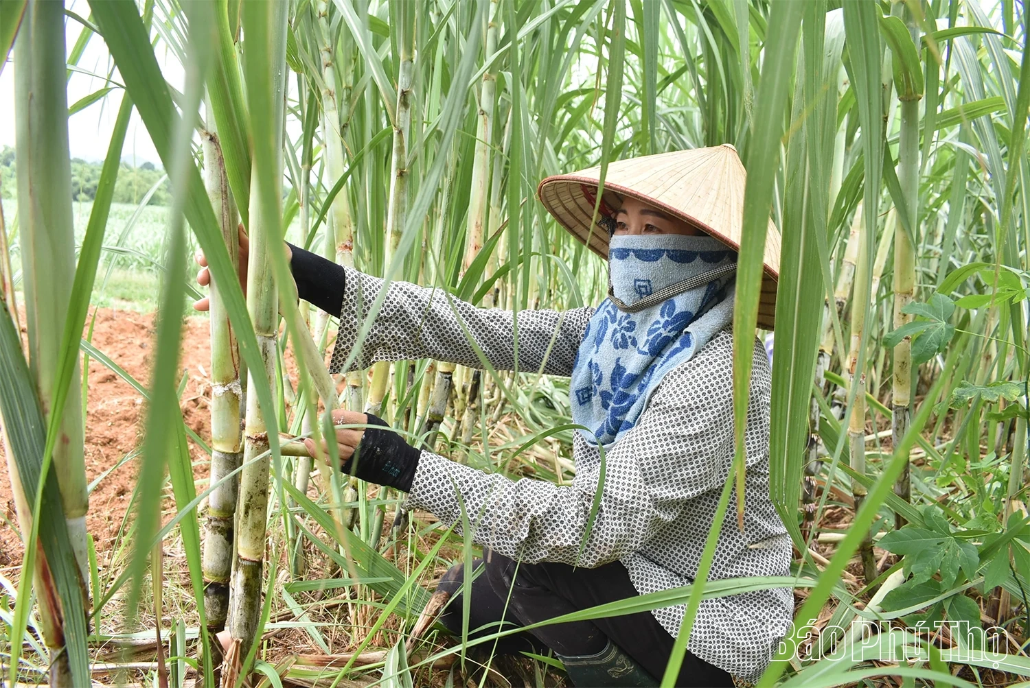 Mường Vang huy động tối đa nguồn vốn đầu tư để bứt phá