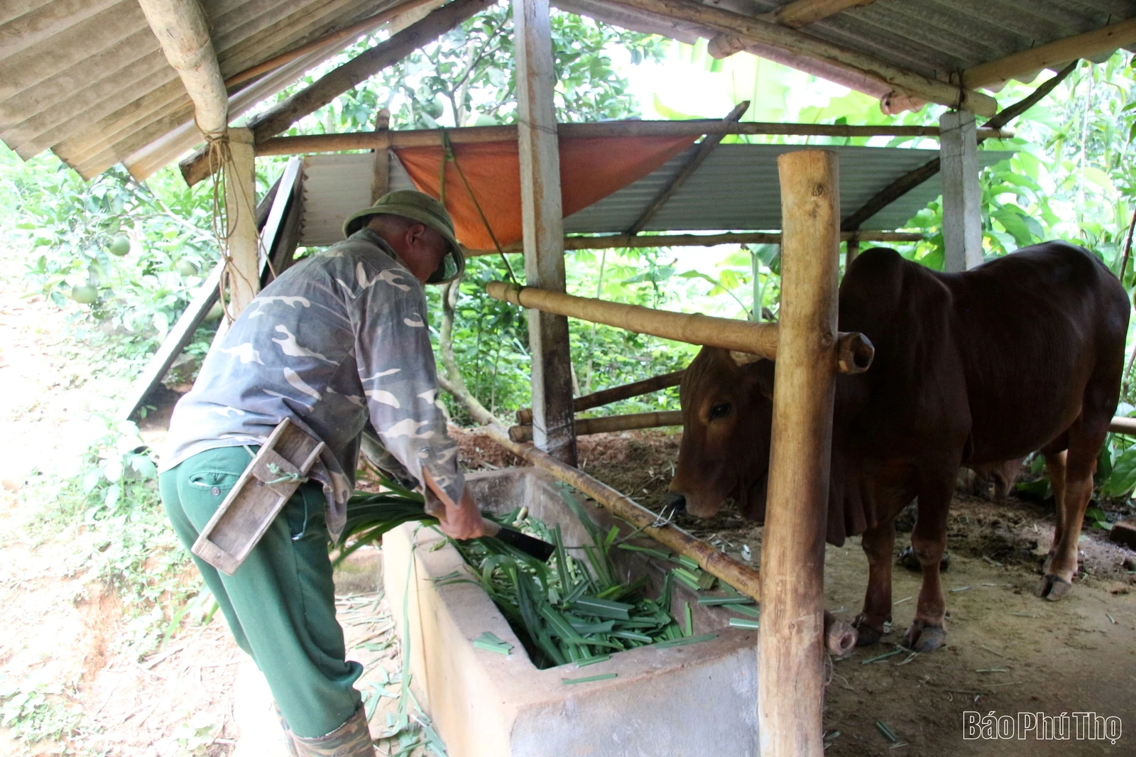 Cổng trời Yên Sơn - những khát vọng vươn lên từ đá