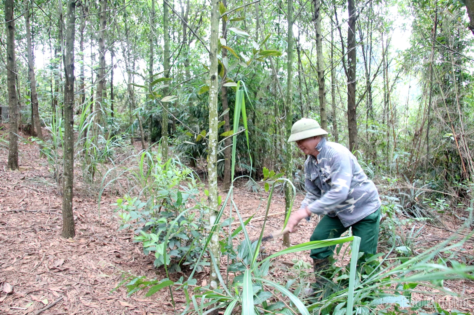 Cổng trời Yên Sơn - những khát vọng vươn lên từ đá