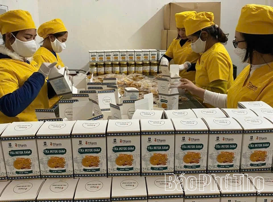 Xúc tiến thương mại - mở rộng thị trường tiêu thụ nông sản