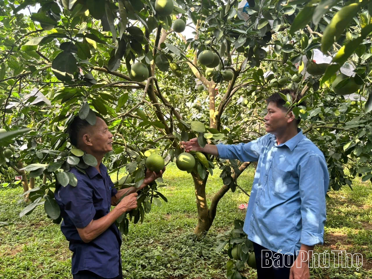 Làng văn hóa quốc phòng - an ninh củng cố thế trận lòng dân