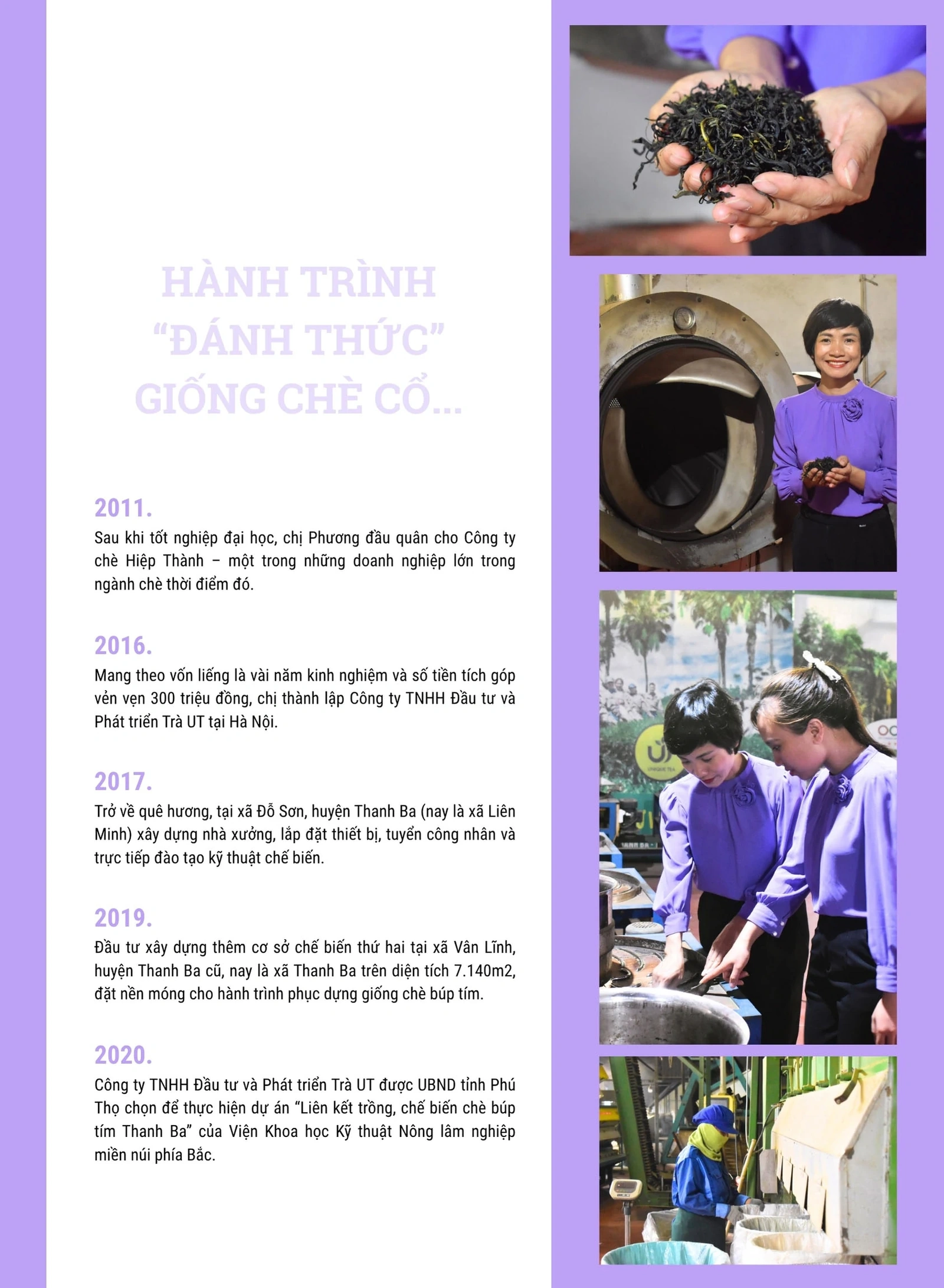 “Thức dậy” một giống chè, thắp lên một khát vọng