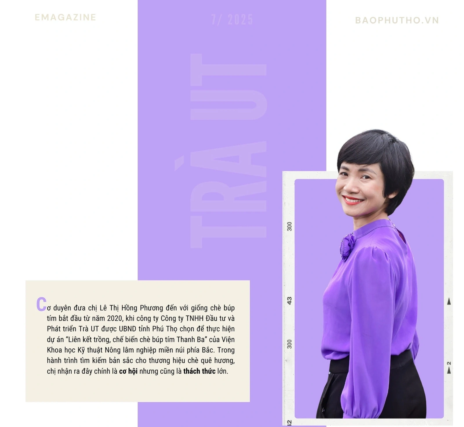 “Thức dậy” một giống chè, thắp lên một khát vọng