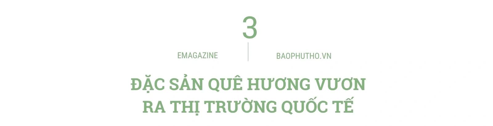 “Thức dậy” một giống chè, thắp lên một khát vọng