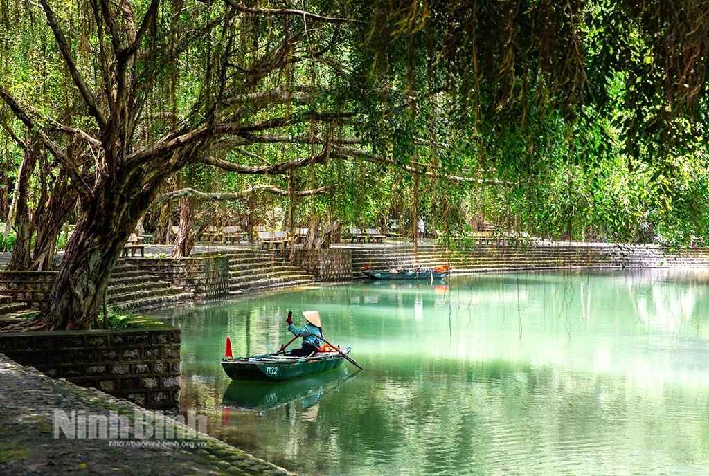 Đi Tràng An coi... rong