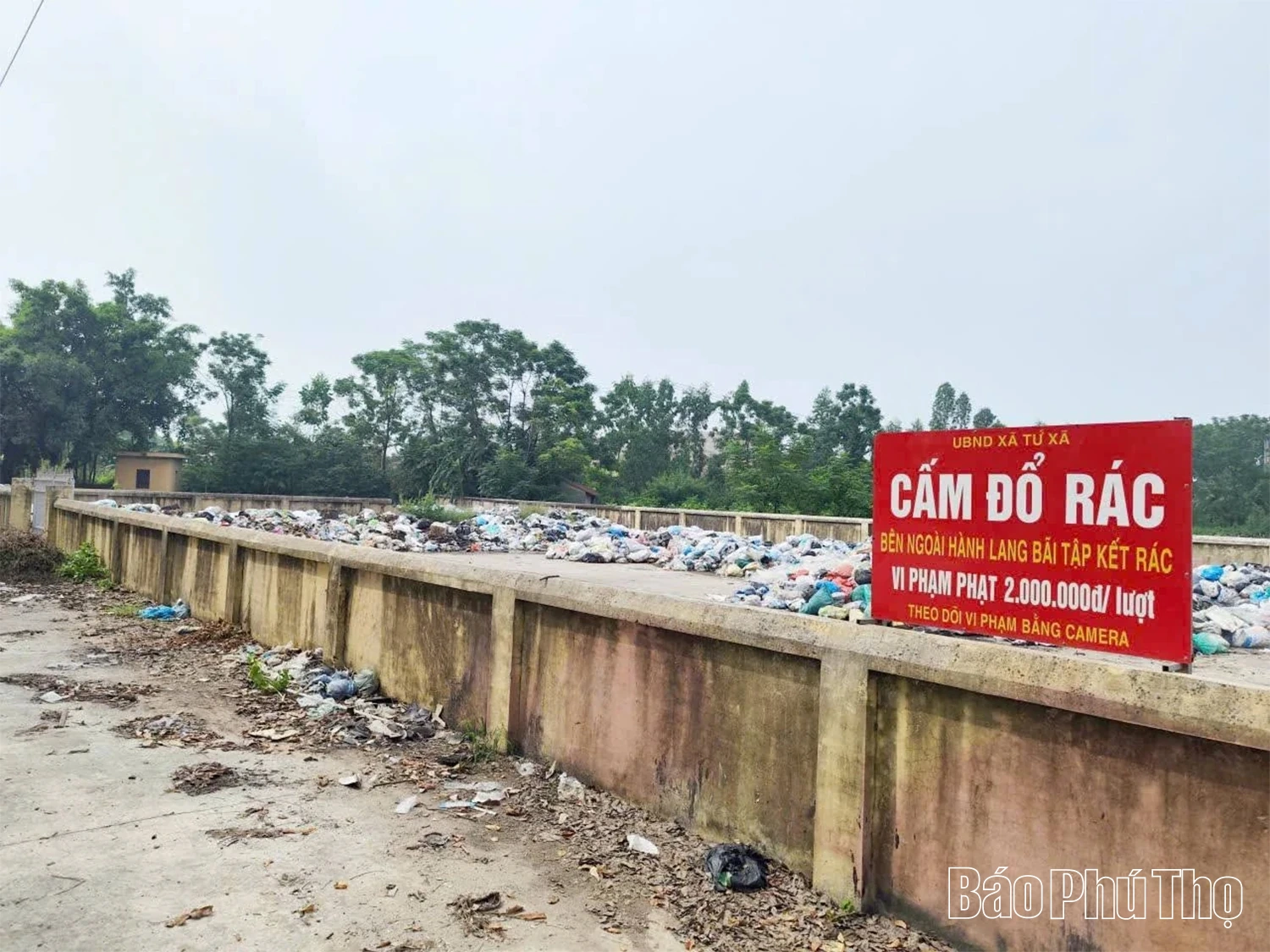 Ô nhiễm từ điểm tập kết rác khiến người dân bức xúc