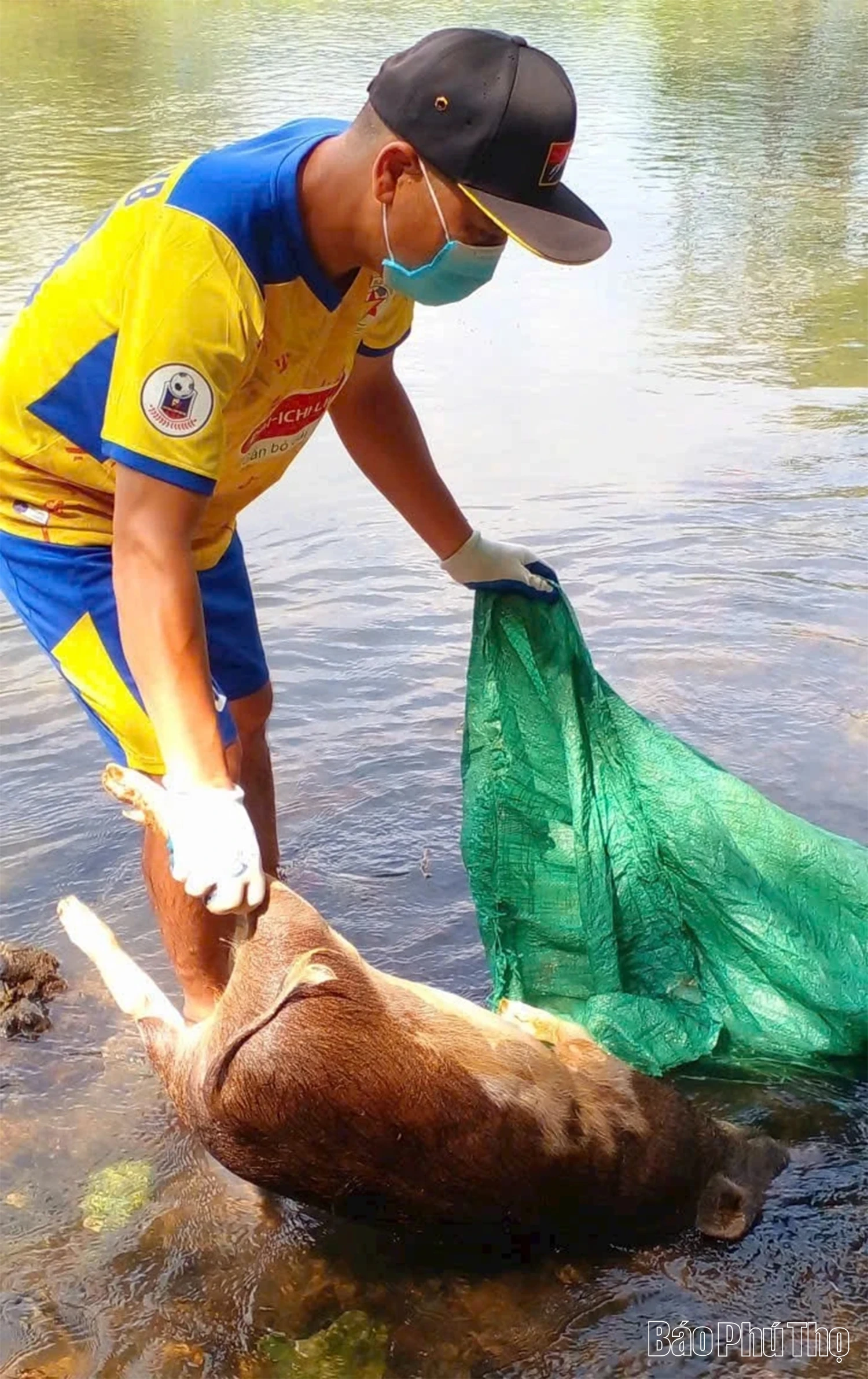 Anh Bùi Văn Tùng tự tìm, chôn lợn bệnh để bảo vệ môi trường