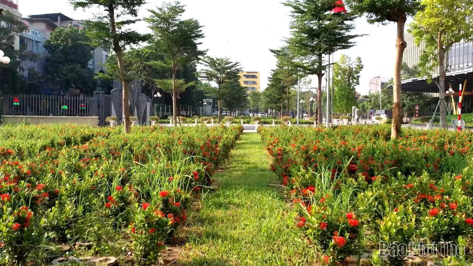 Nâng tầm chuẩn mực y tế: Bệnh viện Đa khoa Vĩnh Phúc và hành trình kiến tạo không gian “xanh - sạch - đẹp”